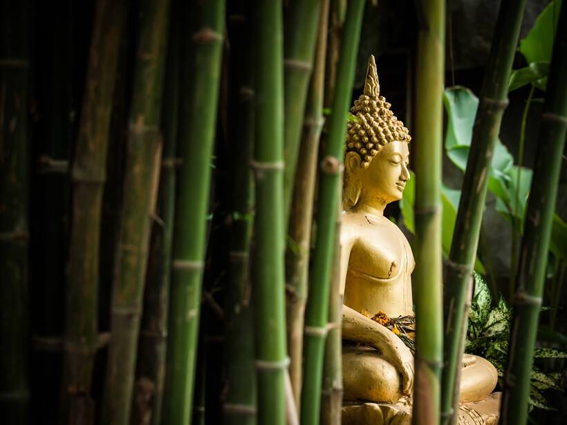 buddha dreamstime